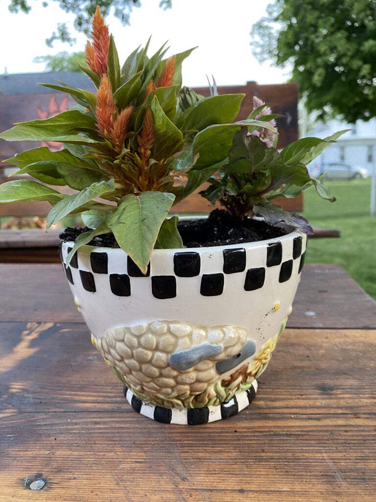 A pot with a sheep design sits on a wooden table with happy plants sprouting out of it.