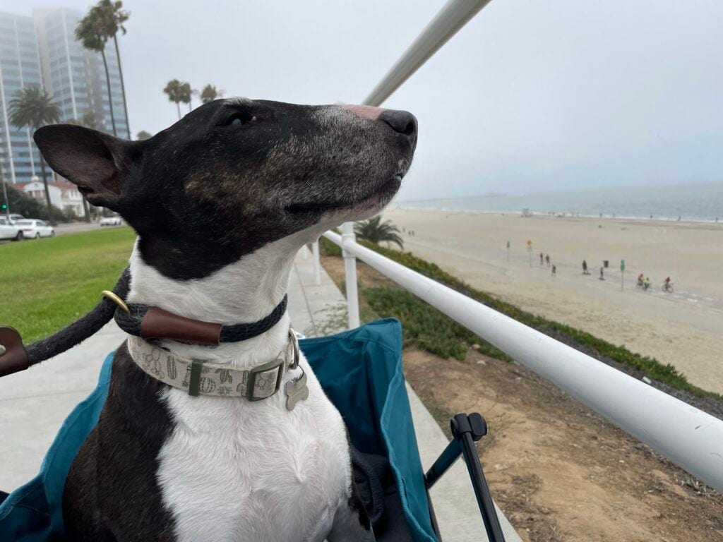 Nick sits and looks through a railing at the the hazy beach.